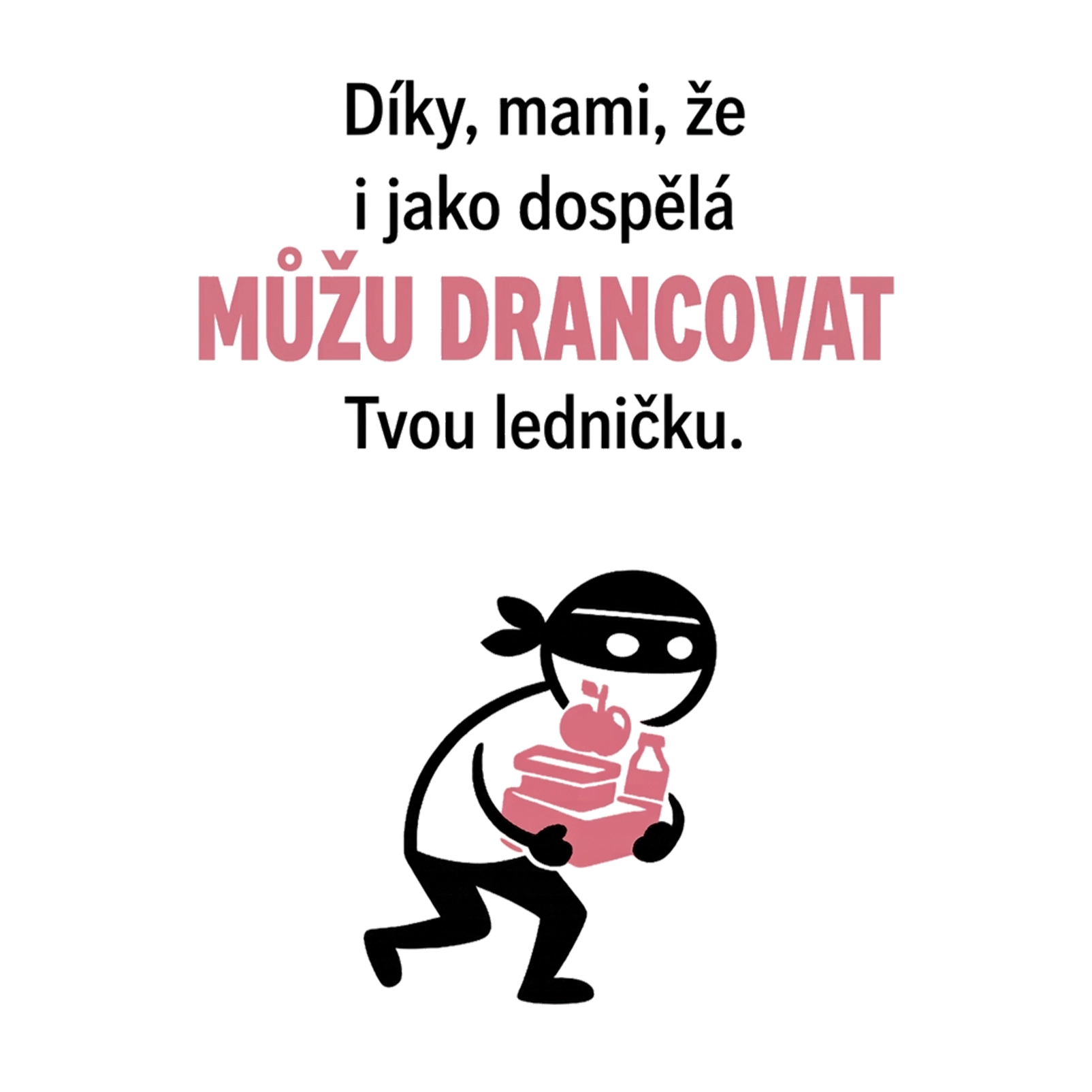 Můžu drancovat ledničku - CSEH.webp